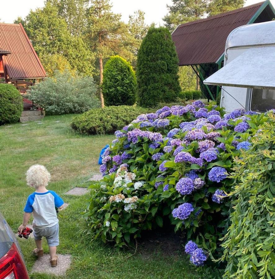 Domek Matylda- Kaszuby Villa Nowe Czaple  Exterior foto