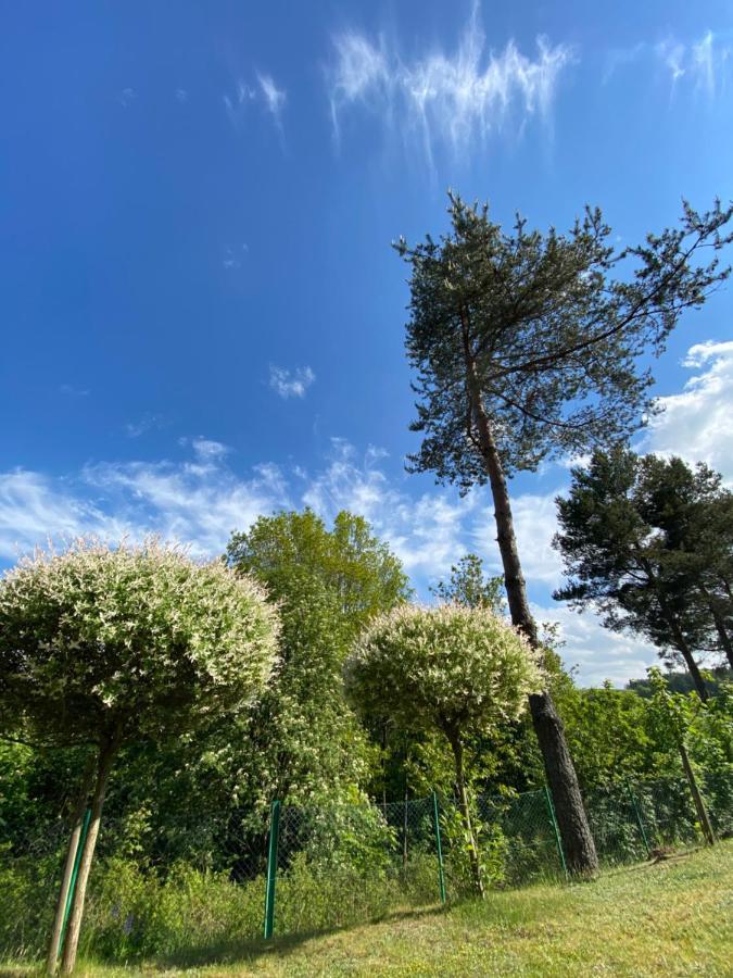 Domek Matylda- Kaszuby Villa Nowe Czaple  Exterior foto